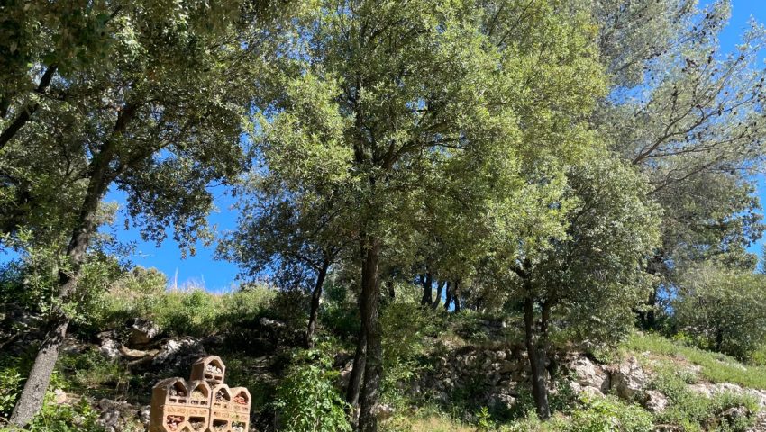 New insect hotels at Golf Bastide de la Salette - Open Golf Club